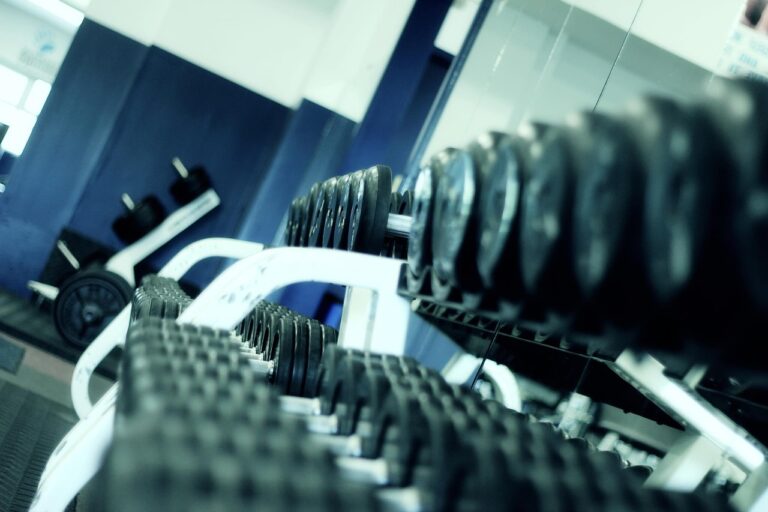Altères dans un gym